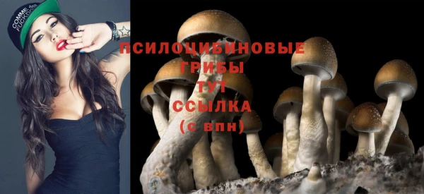 шишки Наволоки