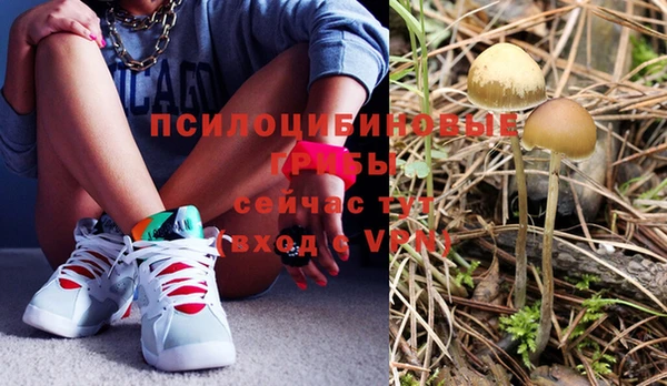 шишки Наволоки