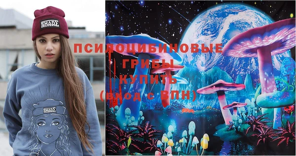 твердый Михайловск