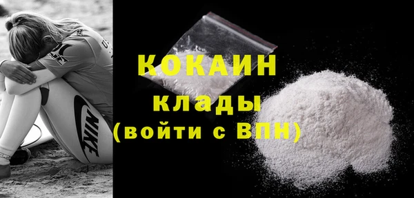 шишки Наволоки