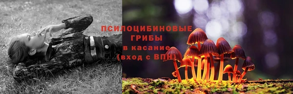 шишки Наволоки