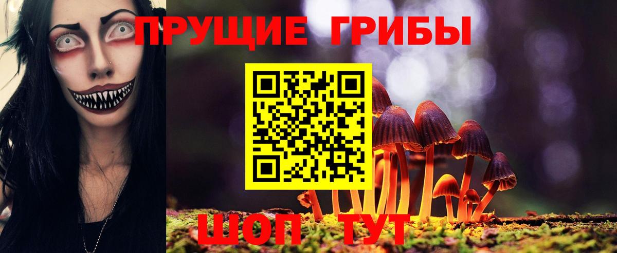 Заречный  Псилоцибиновые грибы Psilocybe  Вход с VPN  Галлюциногенные грибы MAGIC MUSHROOMS 